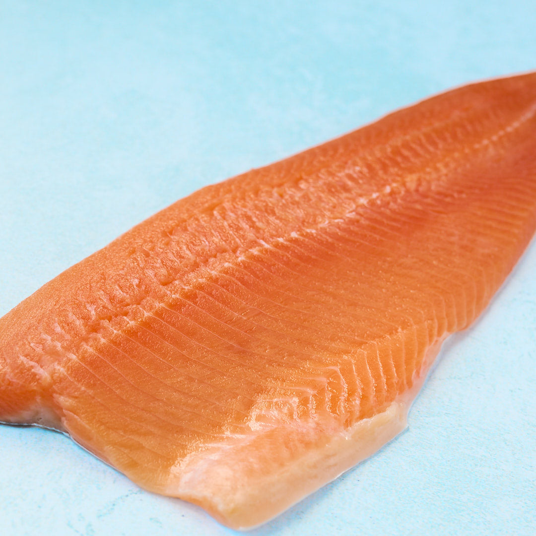 Arctic Char