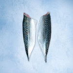 Wild Mackerel Fillets