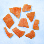 Arctic Char Misshapes