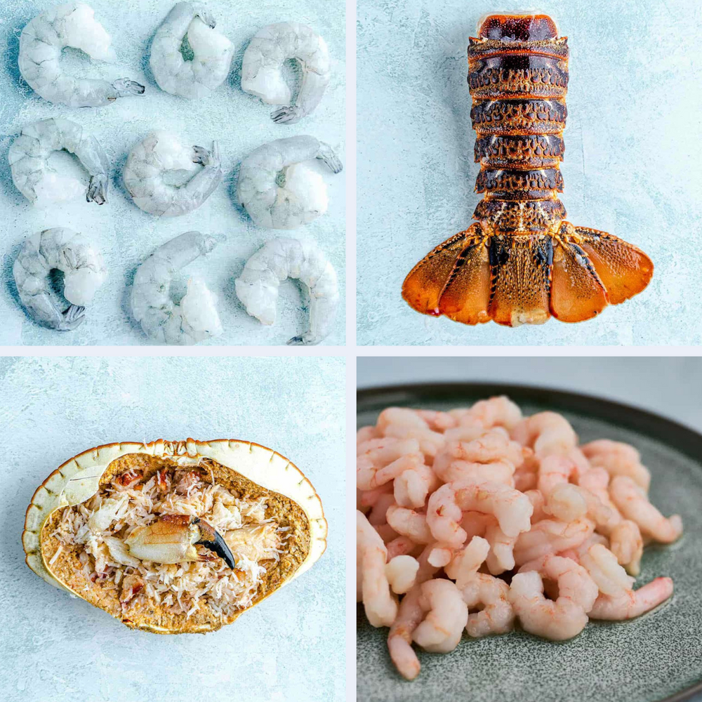 Best Selling Shellfish Brundle