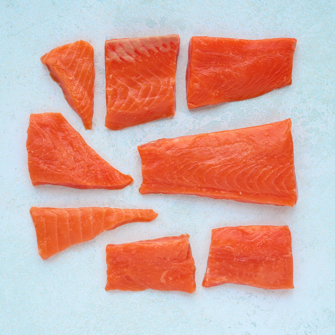 Coho Salmon Misshapes