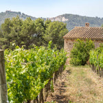 Montesión Sauvignon Blanc 2023 - Bio Dynamic White Wine