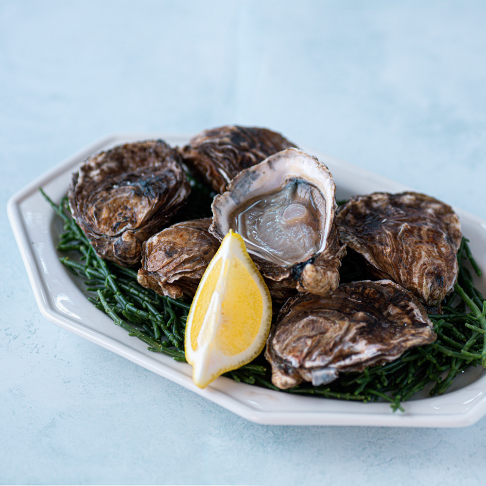 English Oysters - Six Oysters