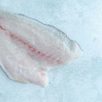 Mediterranean Gilt-head sea bream fillets