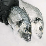 Mediterranean Gilt-head sea bream fillets