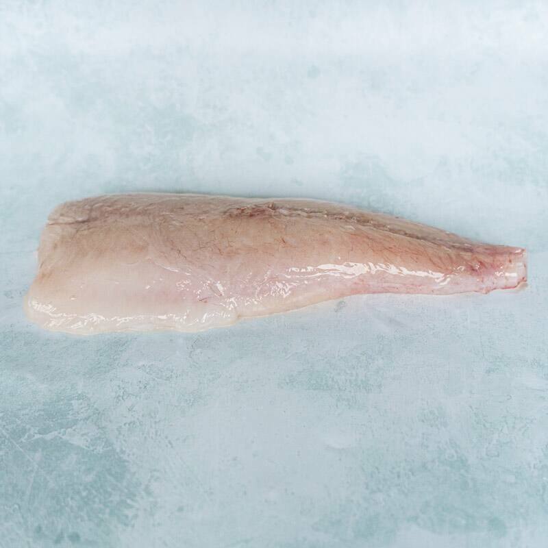 Wild Whole Monkfish Tail