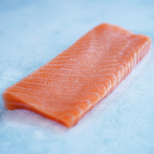 Salmon Saku Block