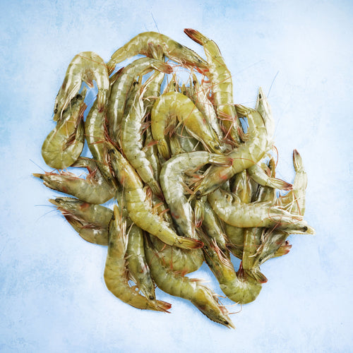 Whole Raw XL King Prawns