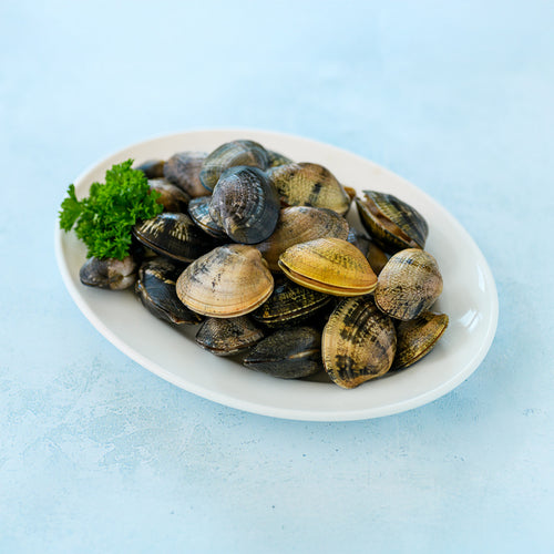 Palourdes - premium clams