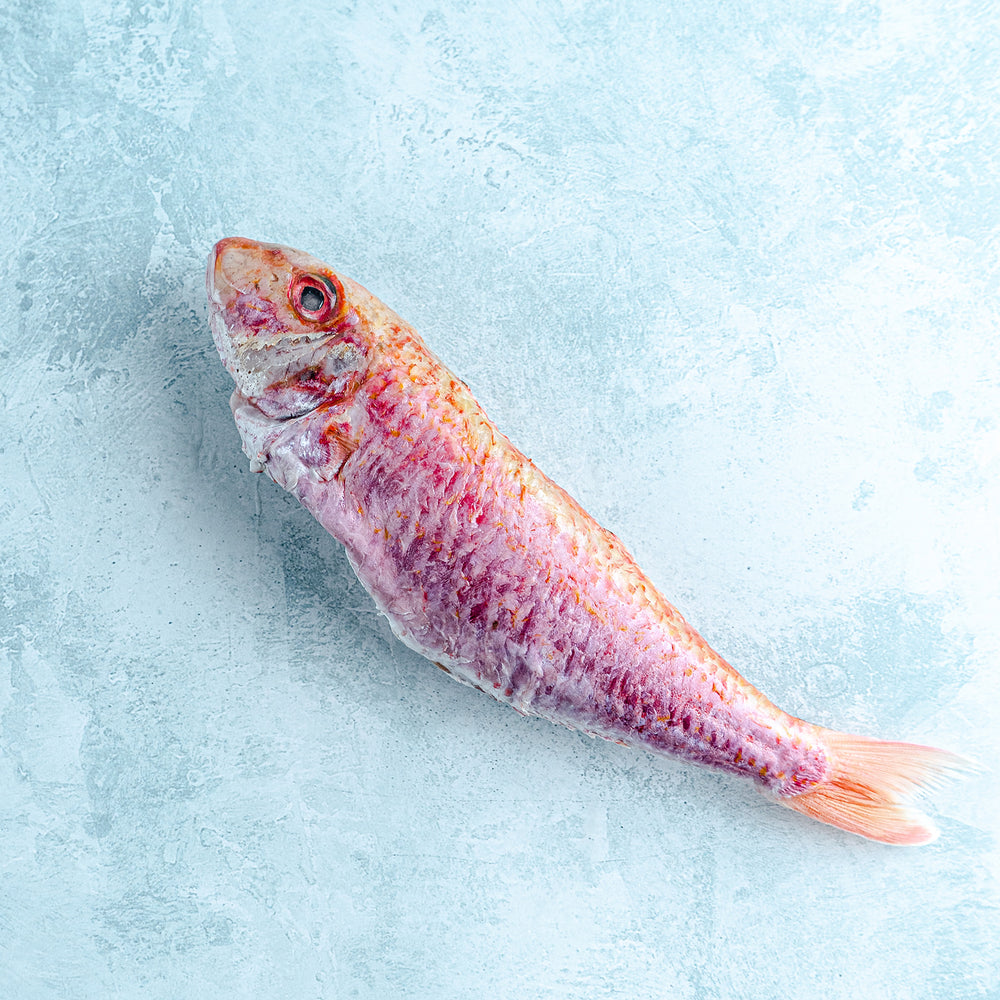 Red mullet - trimmed – The Fish Society