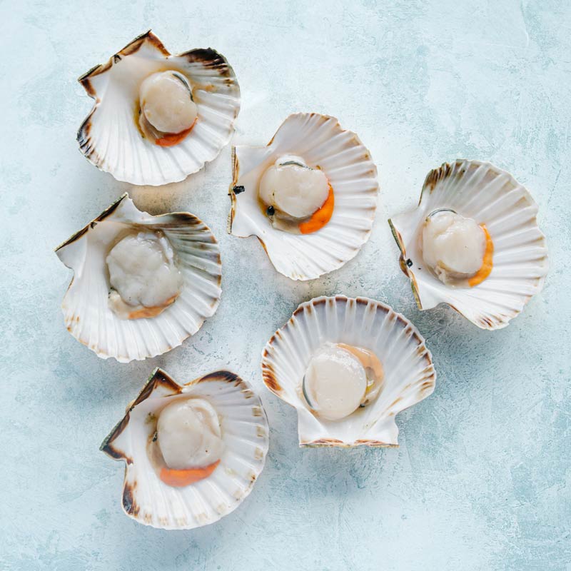 Wild British Half Shell King Scallops