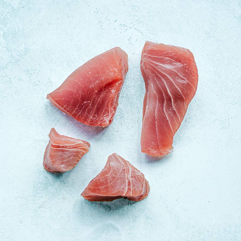 Wild Tuna Misshapes