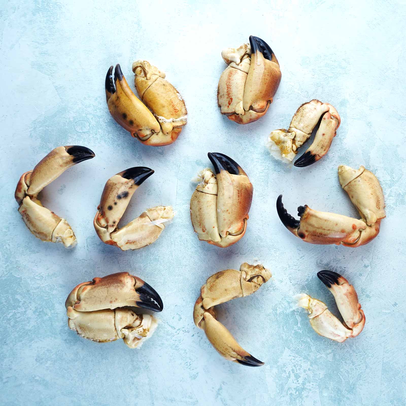 Wild British Crab Claws - Cooked