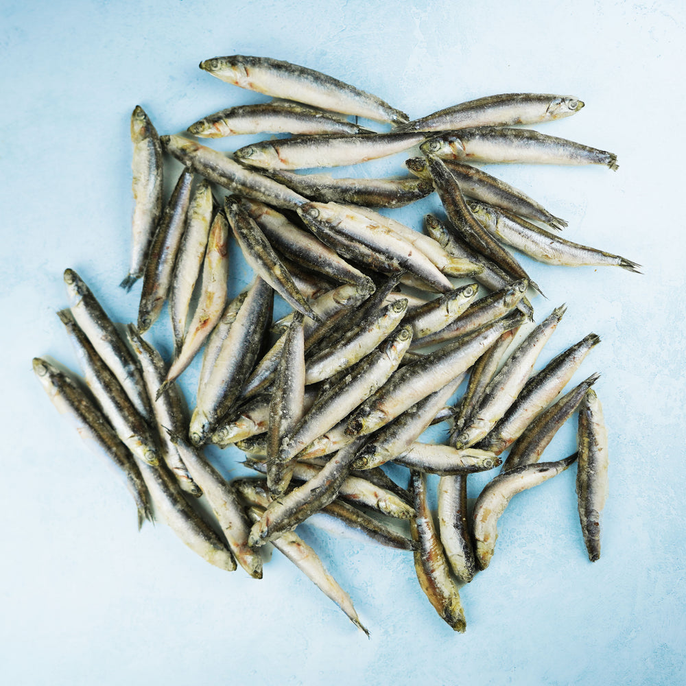 Whole Wild Atlantic Anchovies