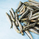 Whole Wild Atlantic Anchovies