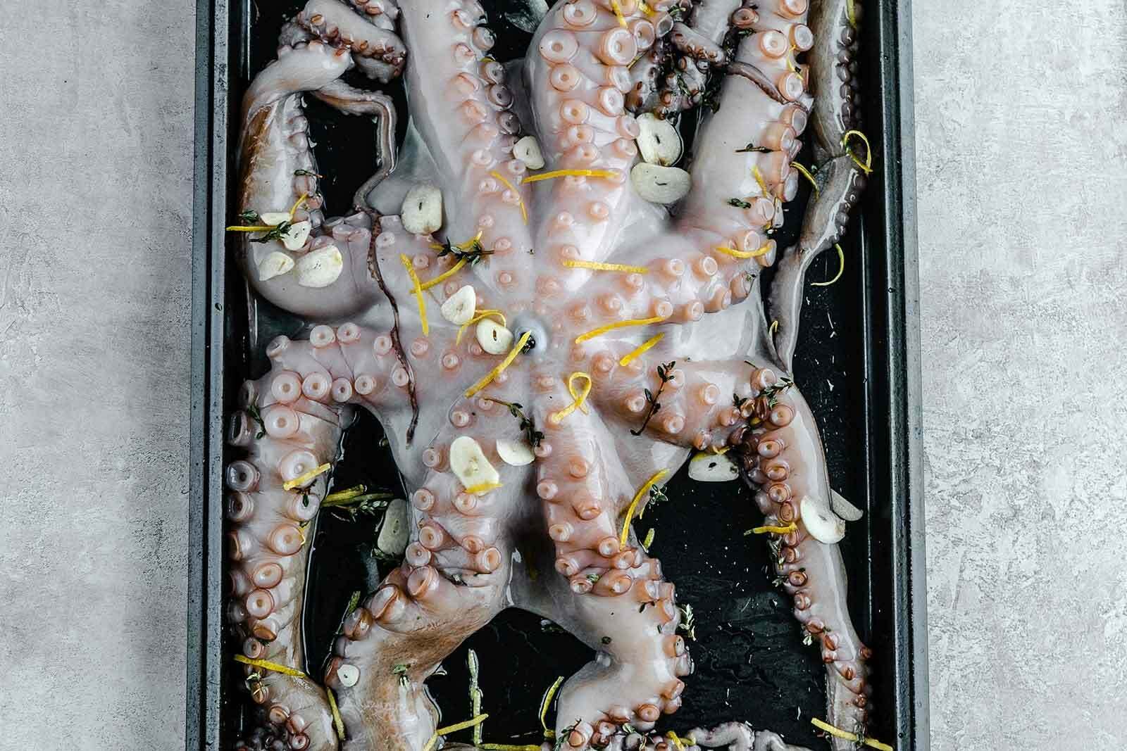 octopus recipe