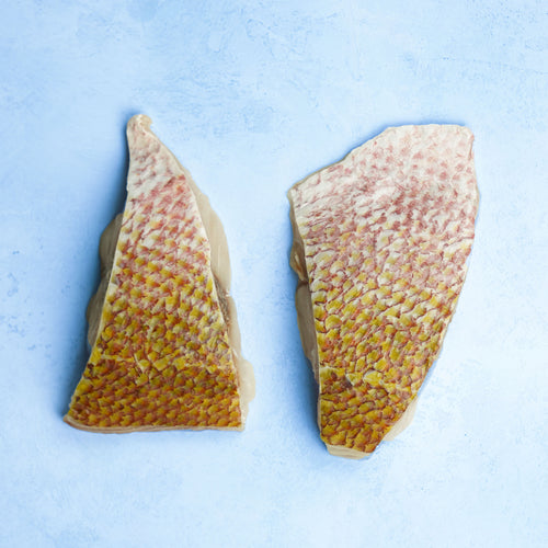 Wild Red Snapper Fillet Portions